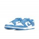 UNC Blue Dunk 