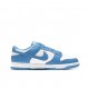 UNC Blue Dunk 