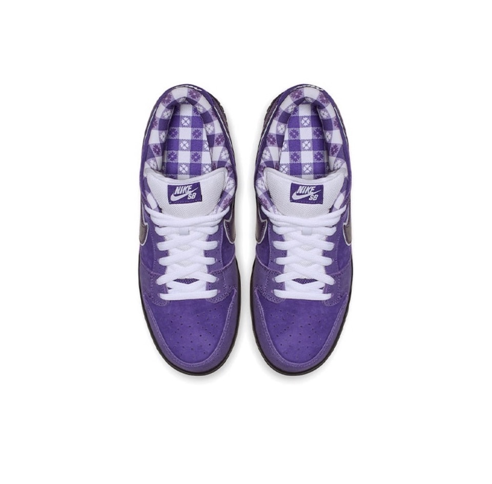 CONCEPTS x Nike Dunk SB Pro Purple Lobster