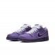 CONCEPTS x Nike Dunk SB Pro Purple Lobster